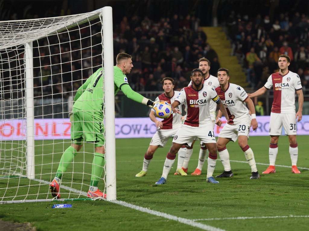 供了清晰的 供了清晰的